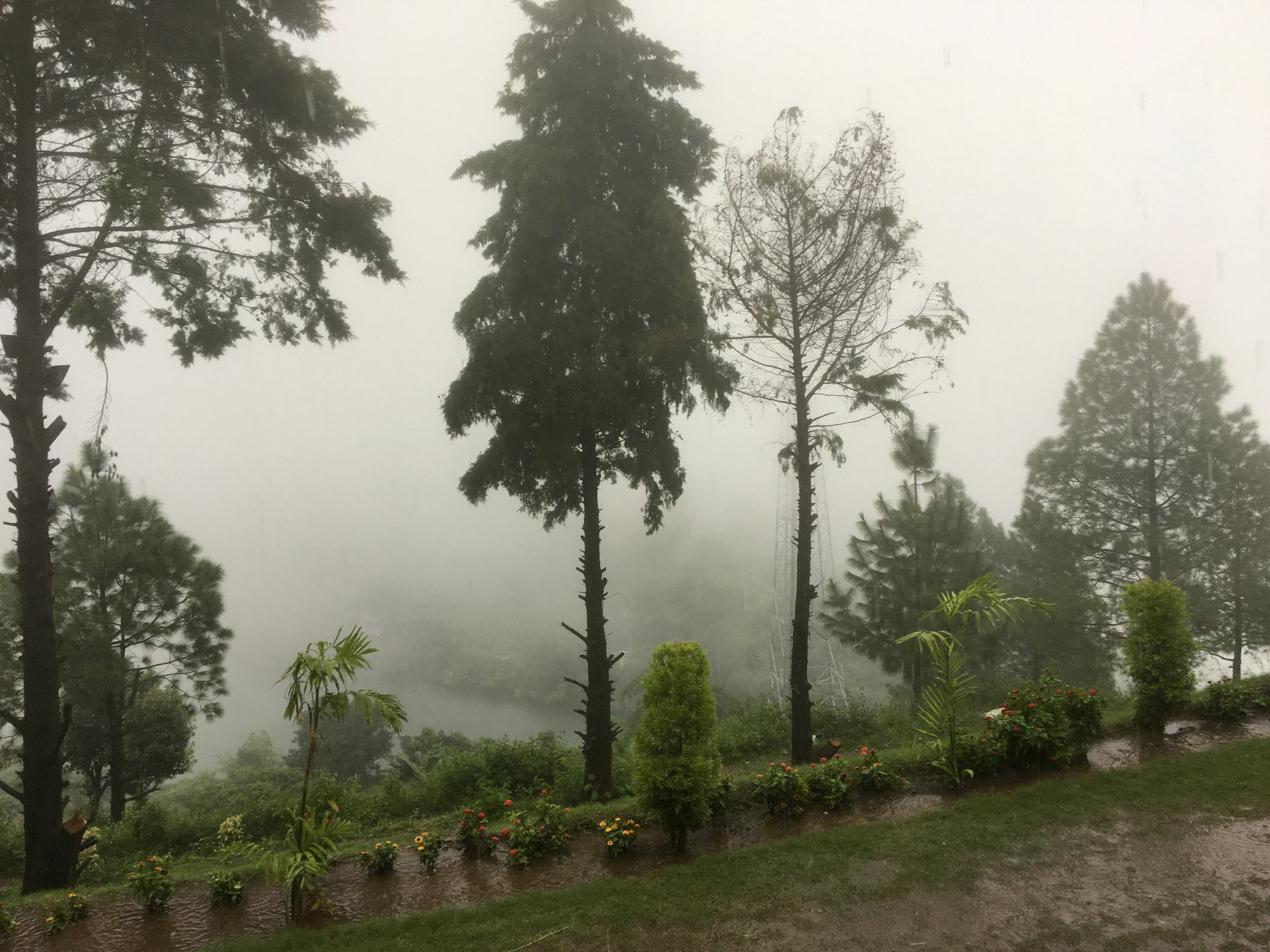 Nainital Adventure Park & Resort Dış mekan fotoğraf